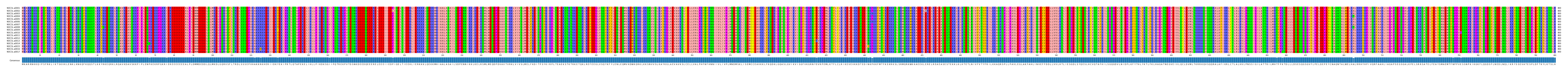 Multiple Alignments (by translate haplotype frequency)