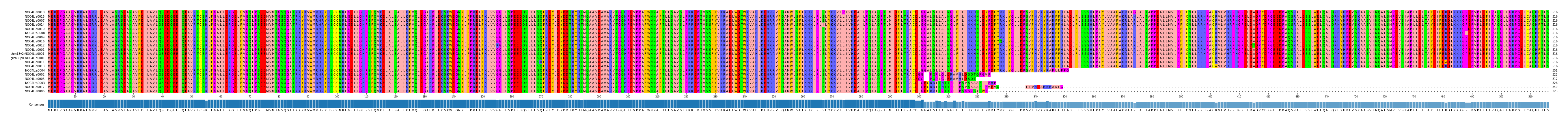 Multiple Alignments (by translate haplotype similarity)