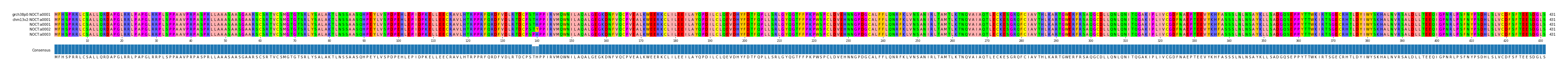 Multiple Alignments (by translate haplotype frequency)