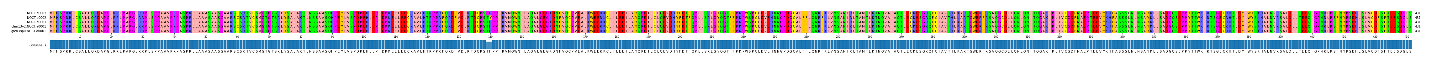 Multiple Alignments (by translate haplotype similarity)