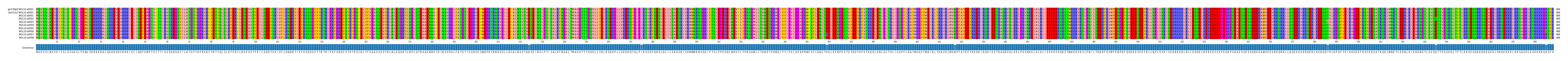 Multiple Alignments (by translate haplotype frequency)