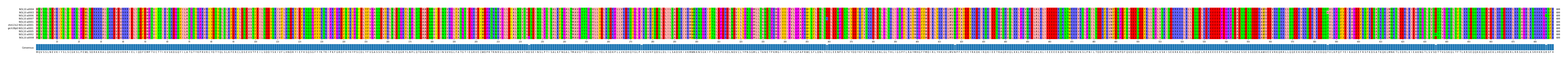 Multiple Alignments (by translate haplotype similarity)