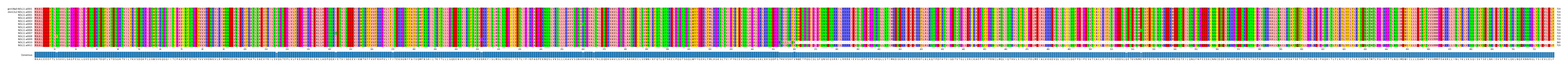 Multiple Alignments (by translate haplotype frequency)