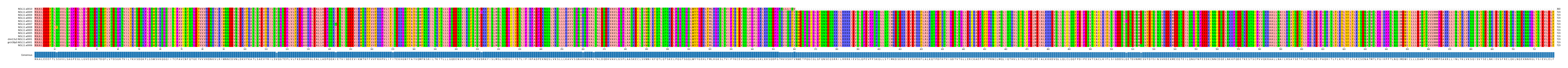 Multiple Alignments (by translate haplotype similarity)