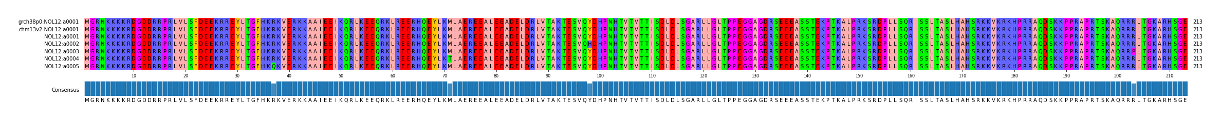 Multiple Alignments (by translate haplotype frequency)