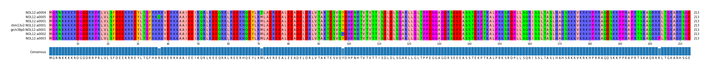 Multiple Alignments (by translate haplotype similarity)