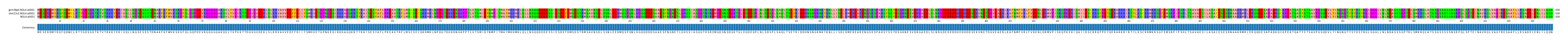 Multiple Alignments (by translate haplotype similarity)