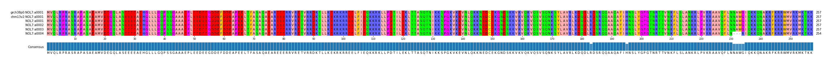 Multiple Alignments (by translate haplotype frequency)