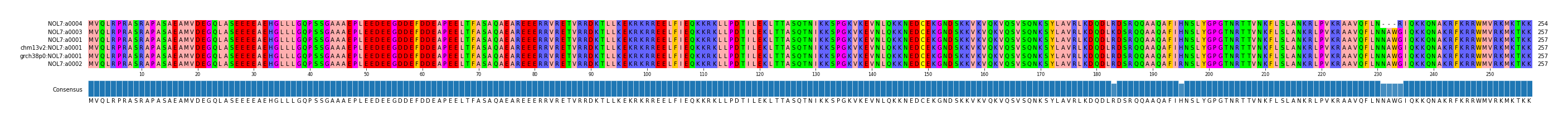 Multiple Alignments (by translate haplotype similarity)
