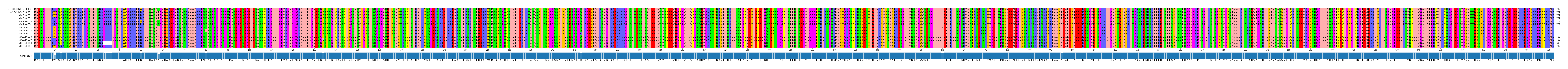 Multiple Alignments (by translate haplotype frequency)