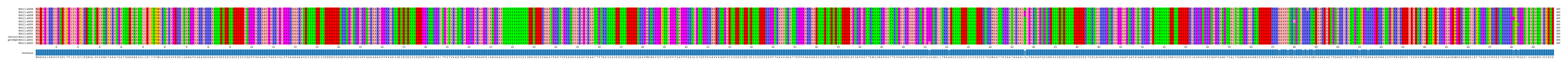 Multiple Alignments (by translate haplotype similarity)