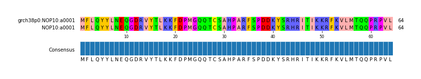 Multiple Alignments (by translate haplotype similarity)