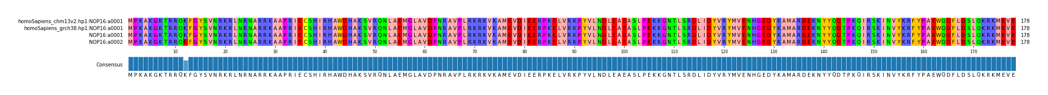 Multiple Alignments (by translate haplotype similarity)