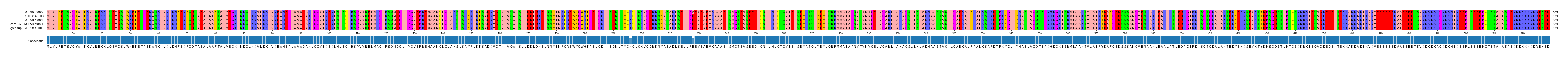 Multiple Alignments (by translate haplotype similarity)