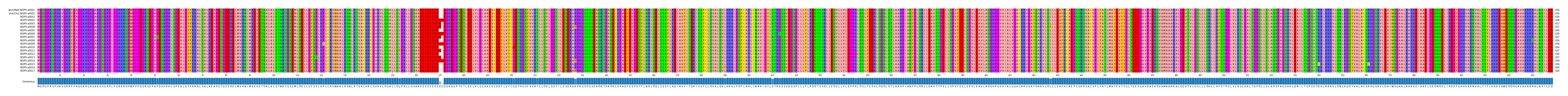 Multiple Alignments (by translate haplotype frequency)