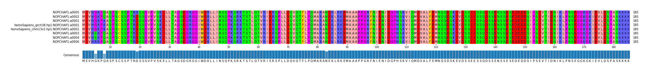 Multiple Alignments (by translate haplotype similarity)