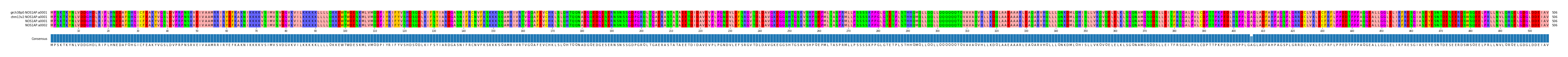 Multiple Alignments (by translate haplotype similarity)