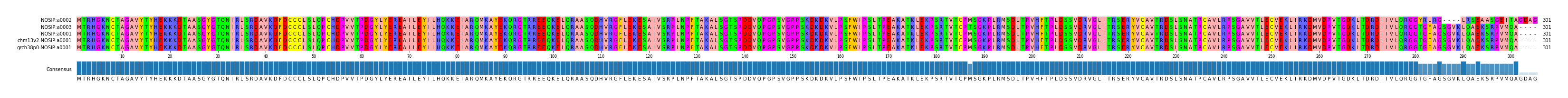 Multiple Alignments (by translate haplotype similarity)