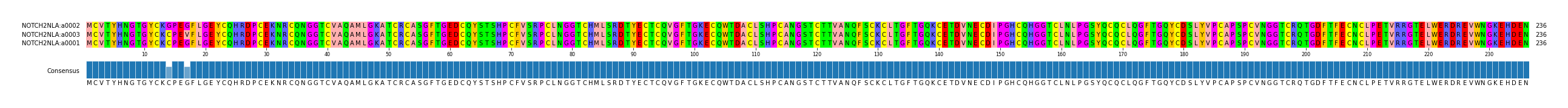 Multiple Alignments (by translate haplotype similarity)