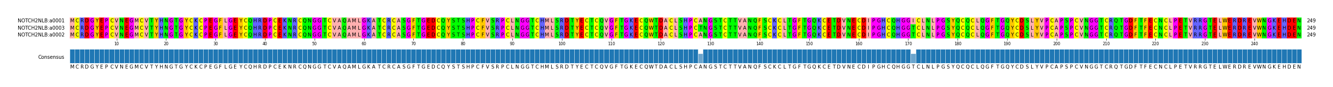 Multiple Alignments (by translate haplotype similarity)