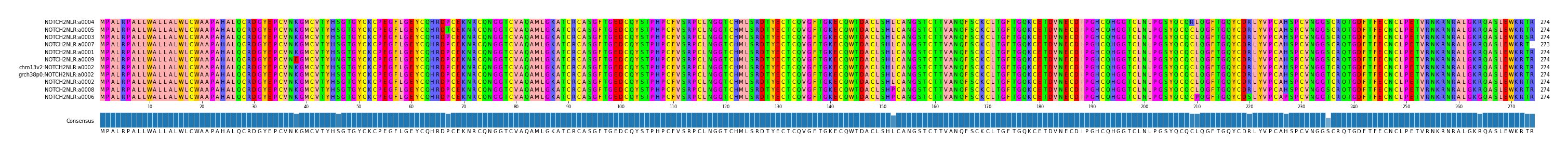 Multiple Alignments (by translate haplotype similarity)