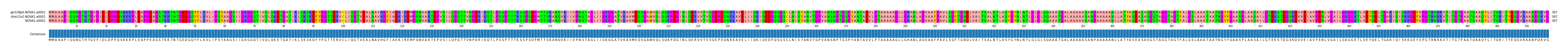 Multiple Alignments (by translate haplotype similarity)