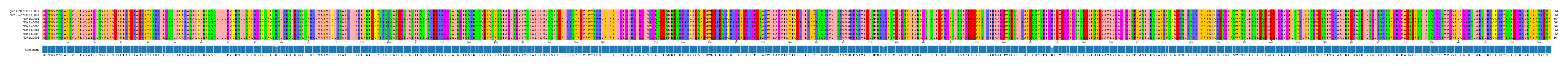 Multiple Alignments (by translate haplotype frequency)