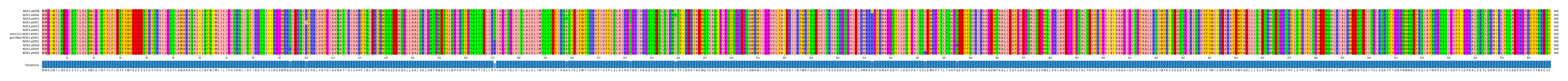 Multiple Alignments (by translate haplotype similarity)