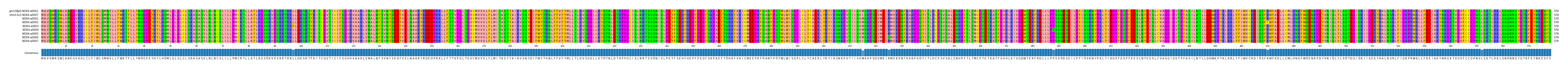 Multiple Alignments (by translate haplotype frequency)
