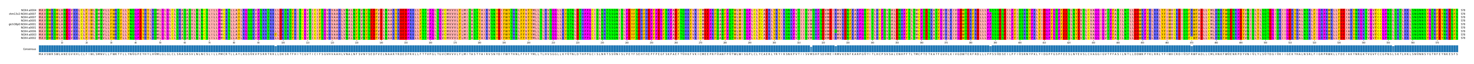 Multiple Alignments (by translate haplotype similarity)