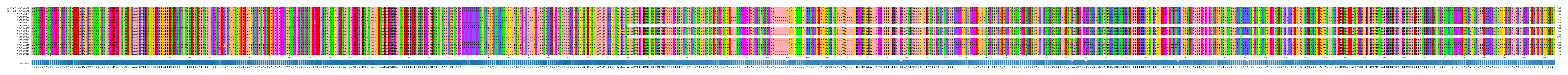 Multiple Alignments (by translate haplotype frequency)