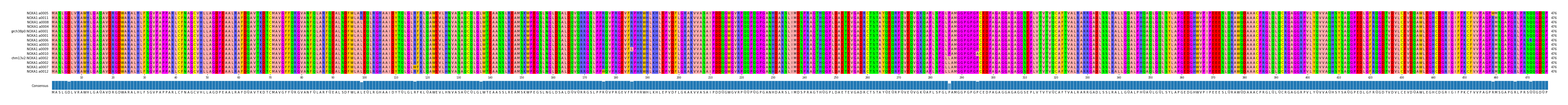 Multiple Alignments (by translate haplotype similarity)
