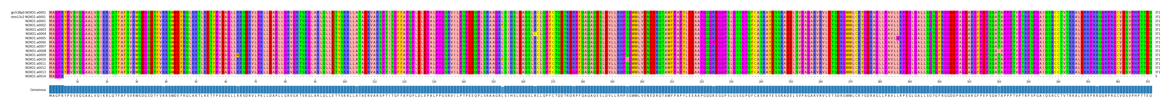 Multiple Alignments (by translate haplotype frequency)