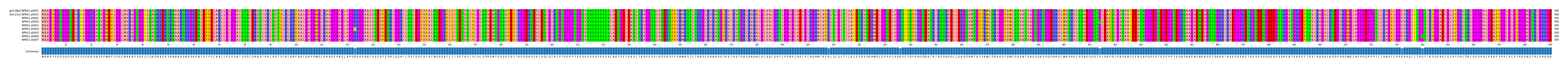 Multiple Alignments (by translate haplotype frequency)