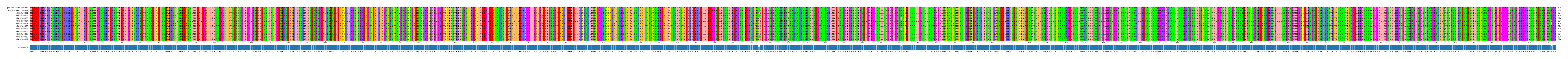 Multiple Alignments (by translate haplotype frequency)