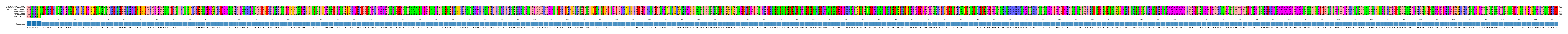 Multiple Alignments (by translate haplotype frequency)