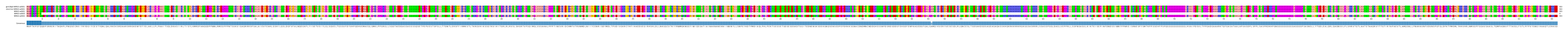 Multiple Alignments (by translate haplotype similarity)
