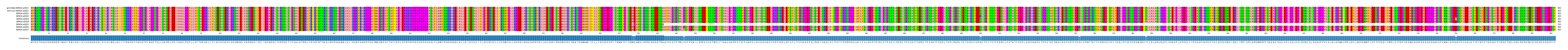 Multiple Alignments (by translate haplotype frequency)