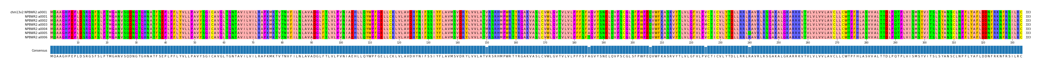 Multiple Alignments (by translate haplotype frequency)