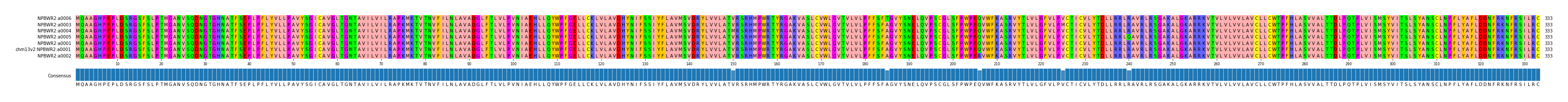 Multiple Alignments (by translate haplotype similarity)