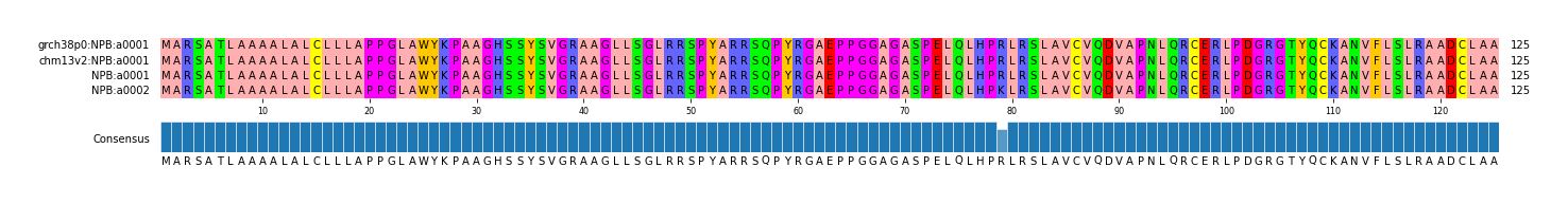Multiple Alignments (by translate haplotype similarity)