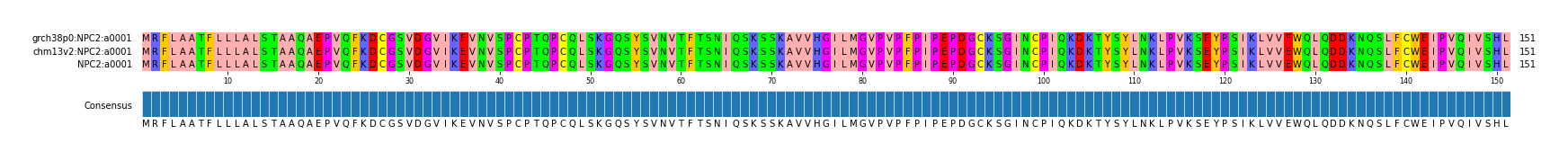 Multiple Alignments (by translate haplotype similarity)