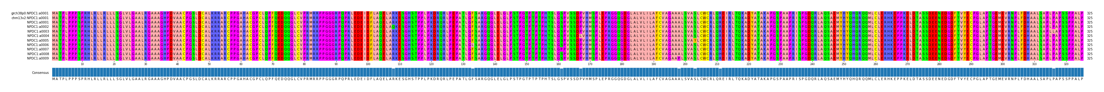 Multiple Alignments (by translate haplotype frequency)