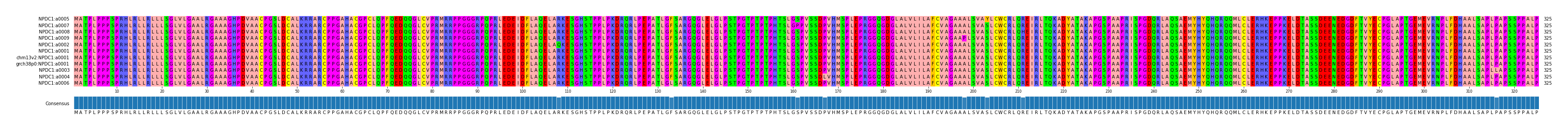 Multiple Alignments (by translate haplotype similarity)