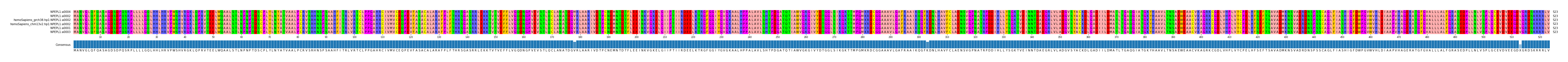 Multiple Alignments (by translate haplotype similarity)