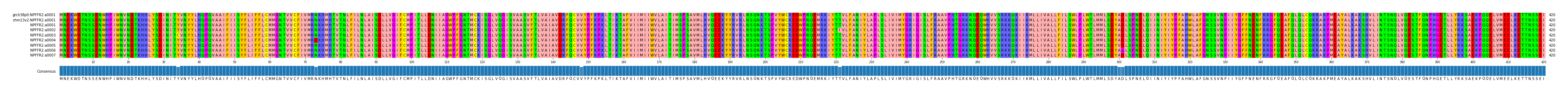 Multiple Alignments (by translate haplotype frequency)