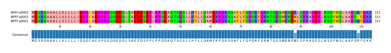 Multiple Alignments (by translate haplotype similarity)