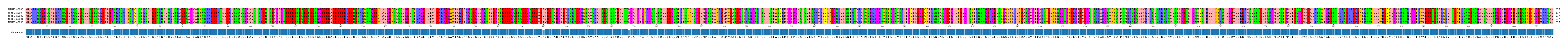 Multiple Alignments (by translate haplotype similarity)