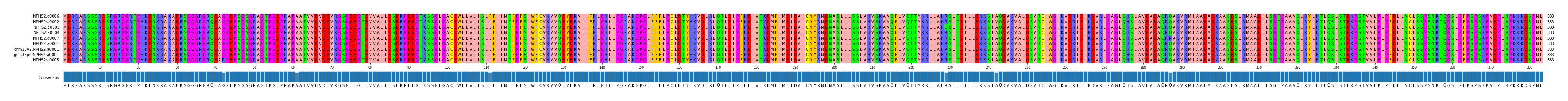 Multiple Alignments (by translate haplotype similarity)