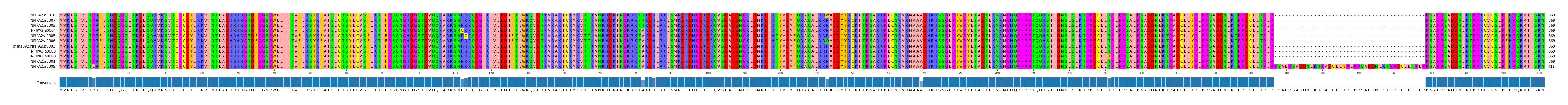 Multiple Alignments (by translate haplotype similarity)